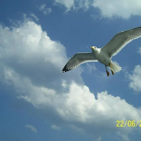 Lejlighedshotel Lysistrata 2*