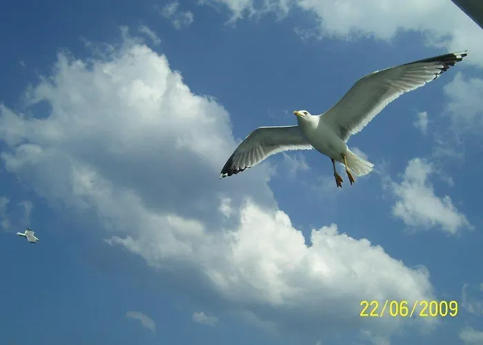 Apartahotel Lysistrata 2*